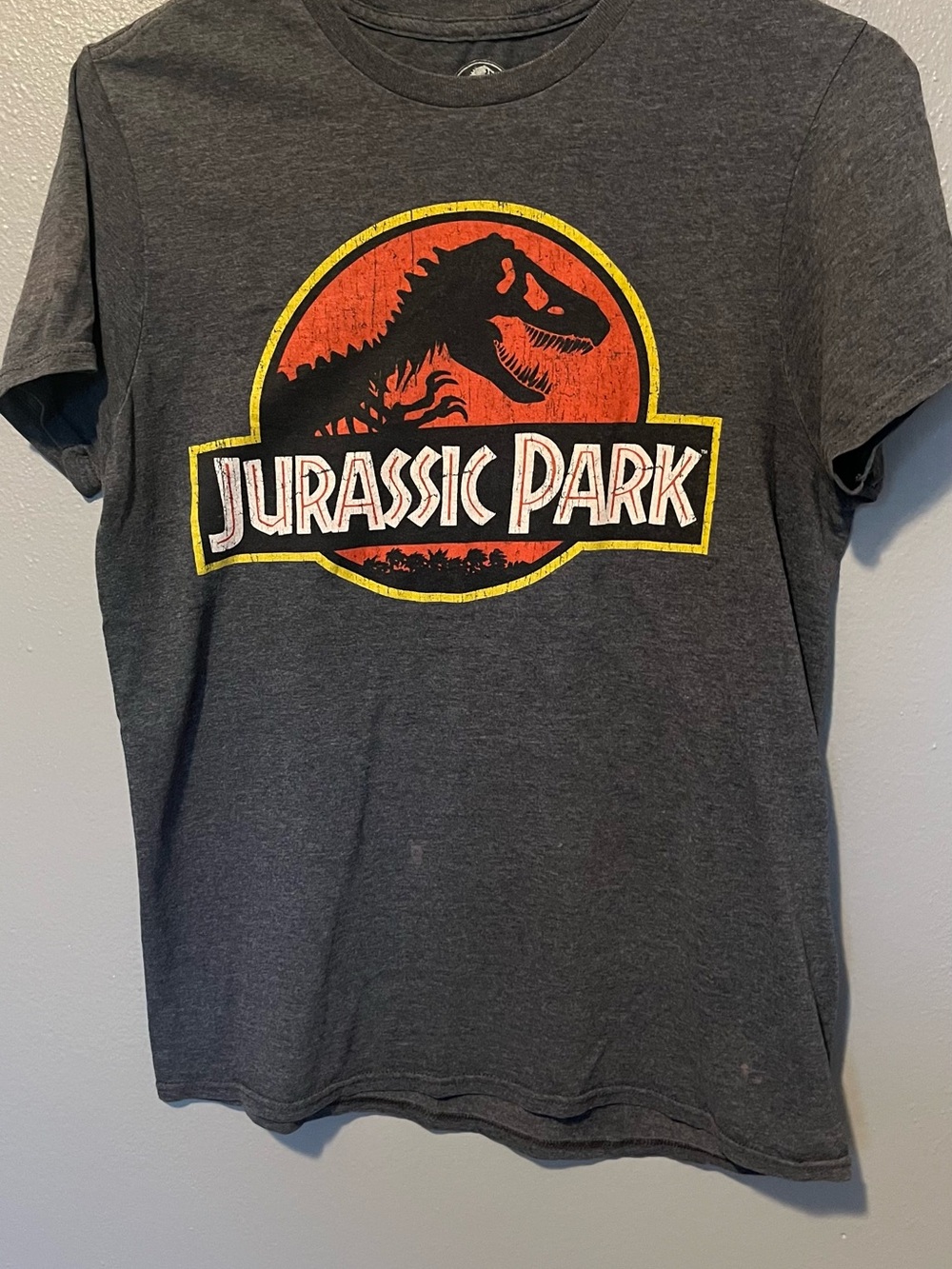 Disney Jurassic Park Charcoal Tee with Red and Yellow Logo